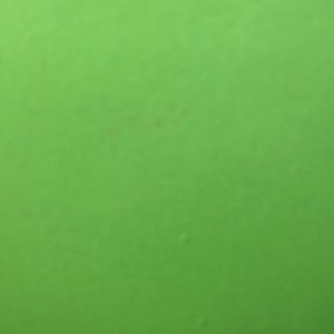 Meet your Posher, Patti